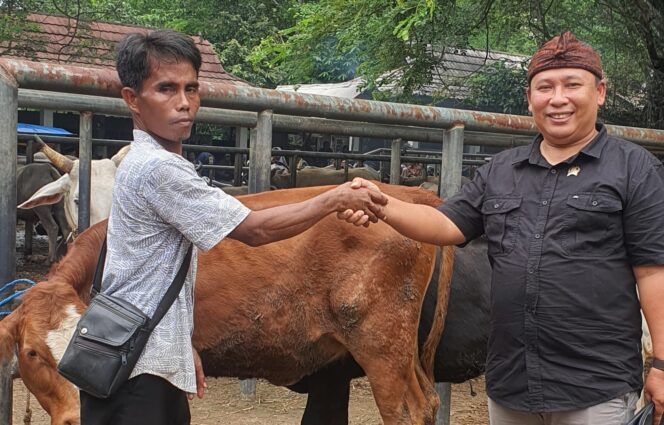 
					Kunjungi Pasar Hewan di Jawa Barat, Wakil Ketua Komisi II DPRD Banten Beli Enam Ekor Sapi