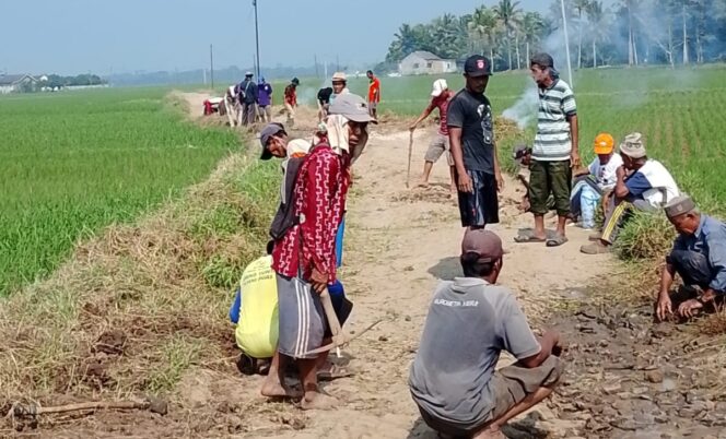
					Jalan Penghubung Dua Desa di Pandeglang  Rusak Parah