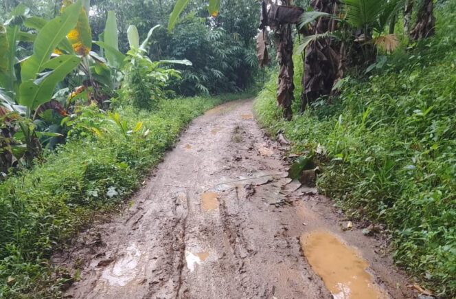 
					Puluhan Tahun Jalan Rusak di Kabupaten Serang Dibiarkan, Seolah Negara Tak Berpihak