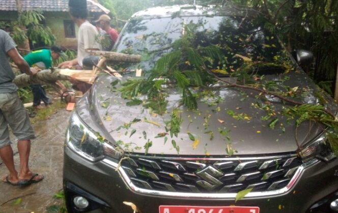 
					Diduga Akibat Hujan Deras Disertai Angin Dan Petir Pohon Tumbang Menimpa Mobil Siaga Desa Sukasaba